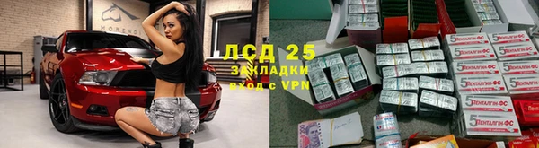 мдпв Инсар
