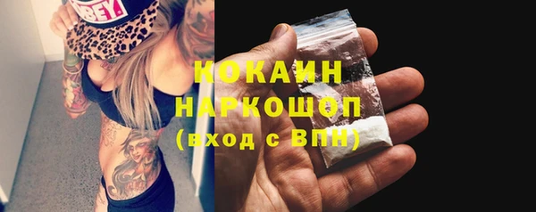 мдпв Инсар