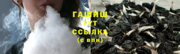 мдпв Инсар