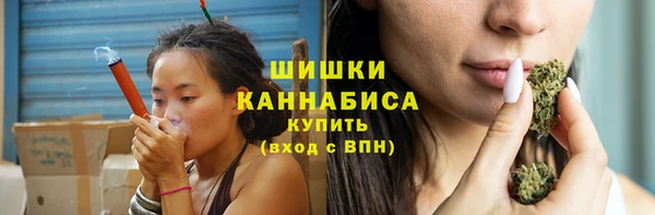 мдпв Инсар