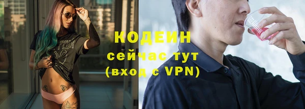 мдпв Инсар