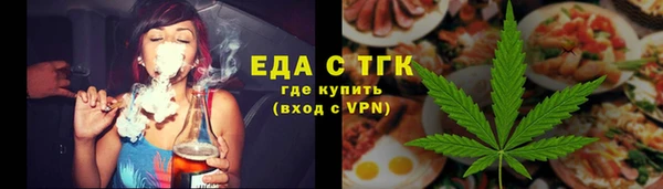мдпв Инсар