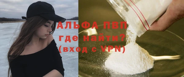мдпв Инсар