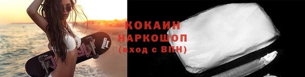 мдпв Инсар