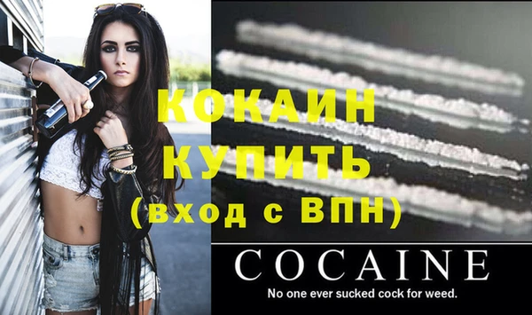 мдпв Инсар