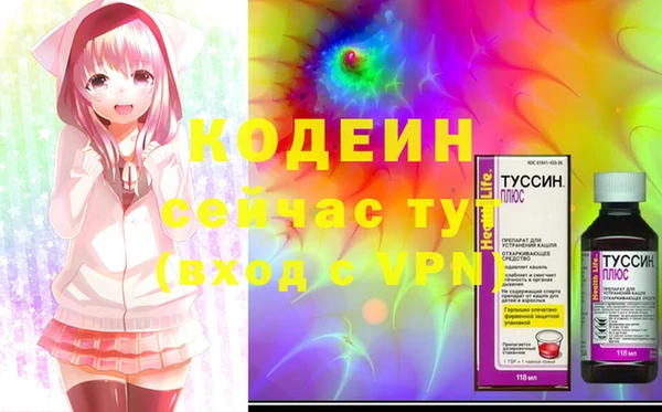 мдпв Инсар