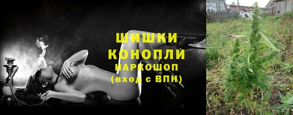 трава Иннополис