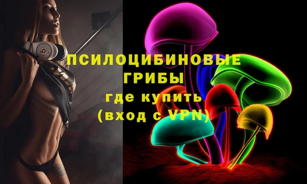молекула духа Инта